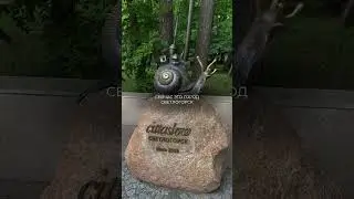 В Светлогорск на выходные, город шумящего моря, все началось с рыбацкой деревушки #путешествия