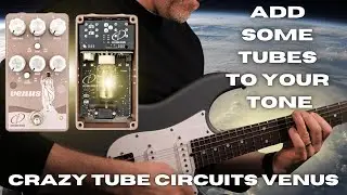 Добавьте ламп к вашему тону &mdash; Crazy Tube Circuits VENUS