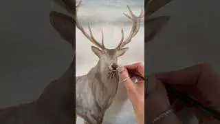 So majestic #stag #deer #stagpainting #acrylicart #painting #artist #wildlifeart #workinprogress#art