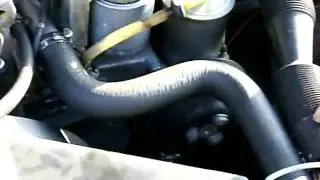 DSCI0191.AVI