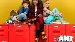 Ant Farm: 