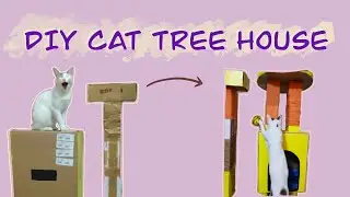 DIY Cat Tree House - Made of Cardboard Boxes | Easy Cat Craft Projects | Cat Vlog - 1