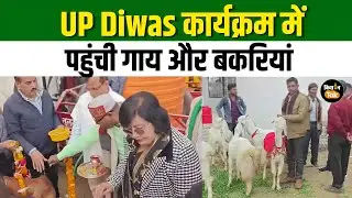 UP News:  UP Diwas कार्यक्रम में पहुंचीं जमुनापारी बकरियां, साहिवाल गाय की भी लगी प्रदर्शनी #farmers