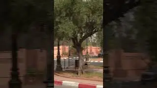 Hadi hia lblassa likan fiha sticker dial Marrakech 👀