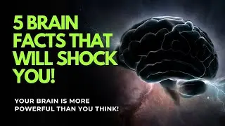 5 Surprising Facts About Your Brain That Will Blow Your Mind!