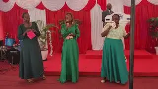 Meditating on the Word 