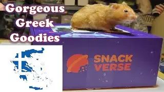 Snackverse Original Box - January 2024 - Greece - Unboxing & Taste Testing - Monthly Mystery Box