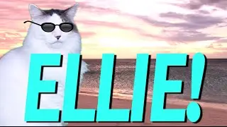 HAPPY BIRTHDAY ELLIE! - EPIC CAT Happy Birthday Song