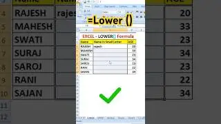 LOWER Function in Excel | Excel lower formula in Hindi | #excel #excelformula #lowerfunction