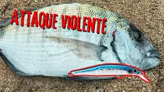 Mer agitée : on tente quand même 🎣