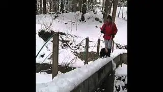 Popolopen Gorge - Stream x-ing