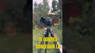 TRUCAZO para hacer FOTOS s&uacute;per N&Iacute;TIDAS