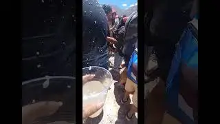 1er Aventura MAIMARA JUJUY 