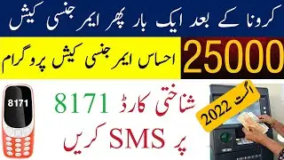 Ehsas 25000 emergency cash relief program