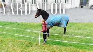 JUMPING NERO, GROOMING KHANDI & TURNING OUT THE HORSES | Yard Vlog