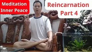 Awaken Breath: Mindfulness Meditation on Rebirth, Inner Peace  Part 4 # LotuszenTan