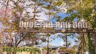 Quán cafe Dưới Tán Anh Đào - Đà Lạt ( xuân 2026 )
