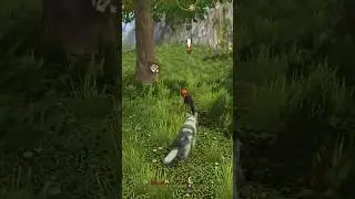 Fox , Wolf 🐺 Tales CastleClooP #castlecloop #gaming #wolftales #game