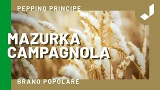 MAZURKA CAMPAGNOLA - Peppino Principe (Brano popolare)