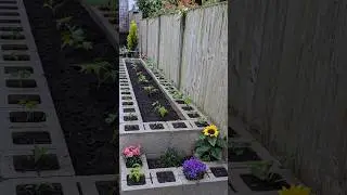 DIY - Cinder block raised bed!(Check desc for instructions) #planter#raisedbedgardening  #diy#shorts