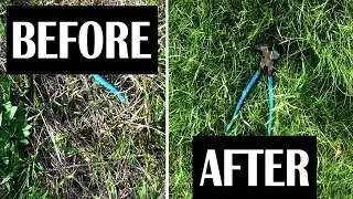 Impact of Growers: Pasture