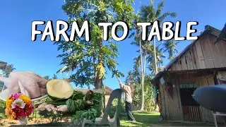Save Money Through Simple Farm Living: Growing and Cooking Grown Chicken and Crops 🌸🐔🌱