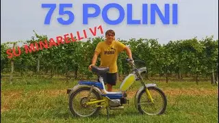 ELABORAZIONE MINARELLI V1 #3 | 75 POLINI!!!