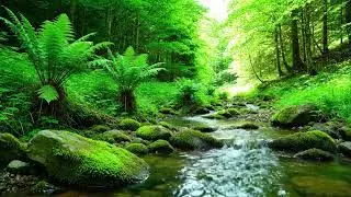 Relaxing River Flow Sounds for Stress Relief, Anxiety Reduction and Night Calm