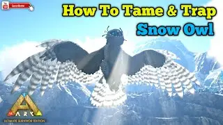 ARK Extinction How To Trap And Tame a Snow Owl In ARK Ultimate Mobile Edition