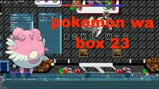 NOVO POKETIBIA POKEMON WA | BOX 23