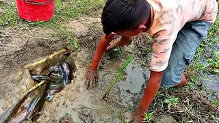 secret hole fishing video😱😮| 2022| the fishing World