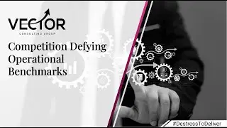 Competition Defying Operational Benchmarks | Vector Consulting Group