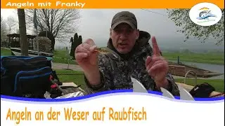 Angeln an der Weser auf Raubfisch Hecht, Zander, Barsch und Rapfen