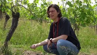 VILLADORIA Winery 2020