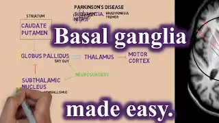 NEURO: Basal Ganglia made easy