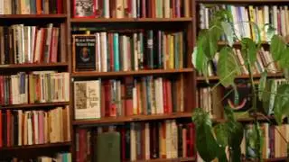 Book Zoo : Oakland Bookstore