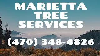 Marietta Tree Services -  (470) 348 4826