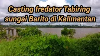 Casting fredator Tabiring di sungai Barito hasilnya .......
