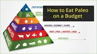Paleo on a Budget | How to do Paleo Diet on a Budget | Dr. Jack Wolfson