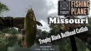 Fishing Planet - Missouri Fishing Trophy Black Bullhead Catfish