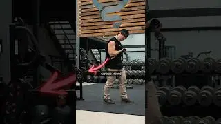 The best way to do biceps curls