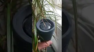 JBL Essential 2 - bass reflex