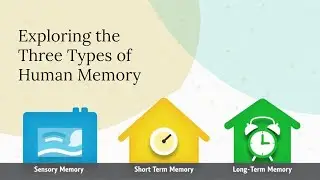 Exploring the Three Types of Human Memory | Habib's English Academy