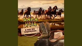 Tiraram Meu Sossego