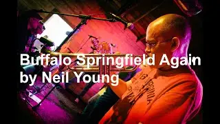 Live Looping & Trumpet Improv on 'Buffalo Springfield Again' by Neil Young