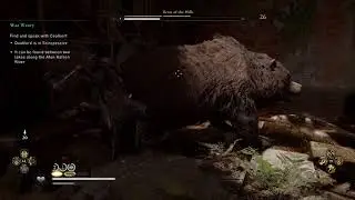Assassin's Creed Valhalla. Beast of the Hills. Legendary Animal Fight. PS5 4K 60 FPS