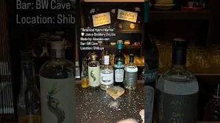 &ldquo;Botanical Hybrid Martini&rdquo; cocktail with Jance Distillery Dry Gin by Akasaka-san at BW Cave Shibuya