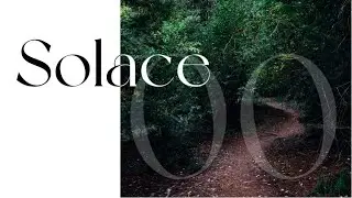 Solace | Chapter 0 - An Anjunadeep/TNH inspired mix (with Lane 8, Ben B&ouml;hmer, Cubicolor) #solace