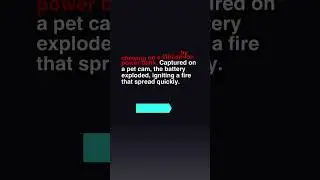 #PetCam #LithiumIonBattery #PetSafety #BatteryExplosion #PetOwners #HouseFire  #LithiumIonDangers