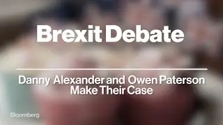 To Stay or Not to Stay? The Brexit Debate, in 90 Seconds